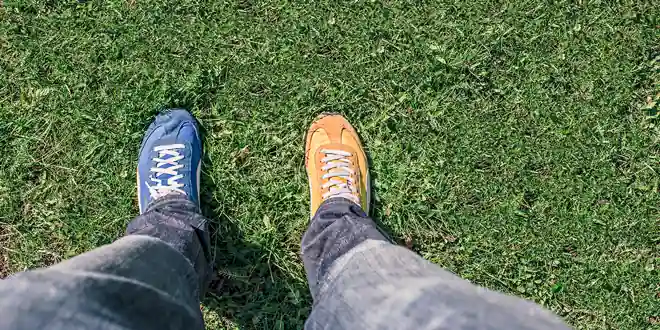 Two mismatched shoes standing on grass symbolizing the diversity of people who write reviews