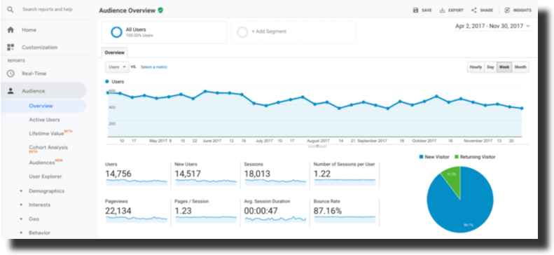 audience overview