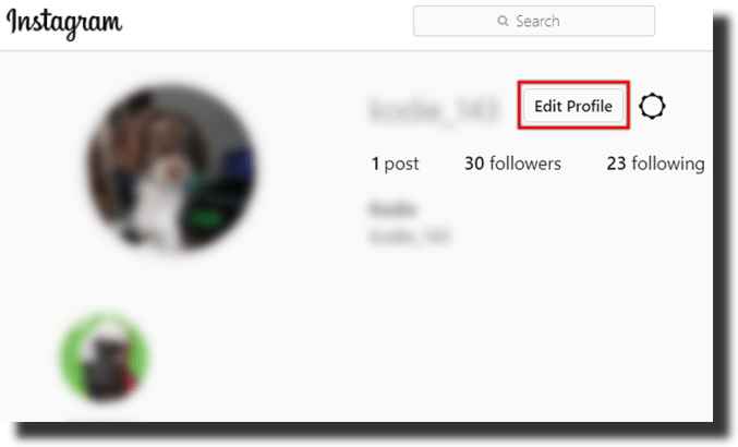 edit profile