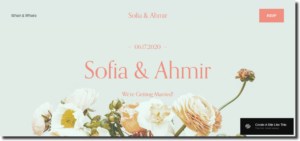 sofia ahmir