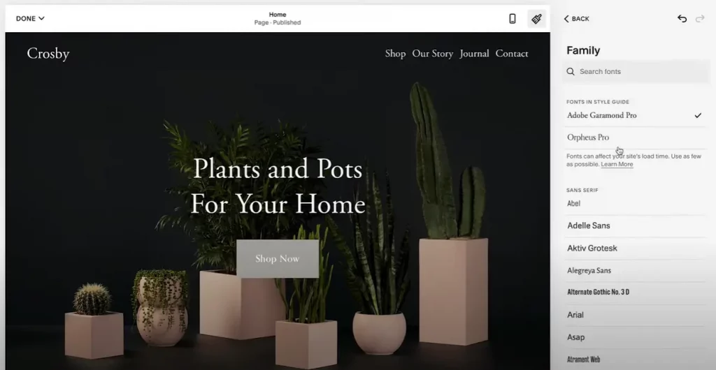 Squarespace Fonts for Website Customization