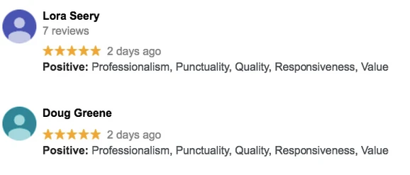 Google reviews showing highlighted attributes like professionalism, punctuality, and quality