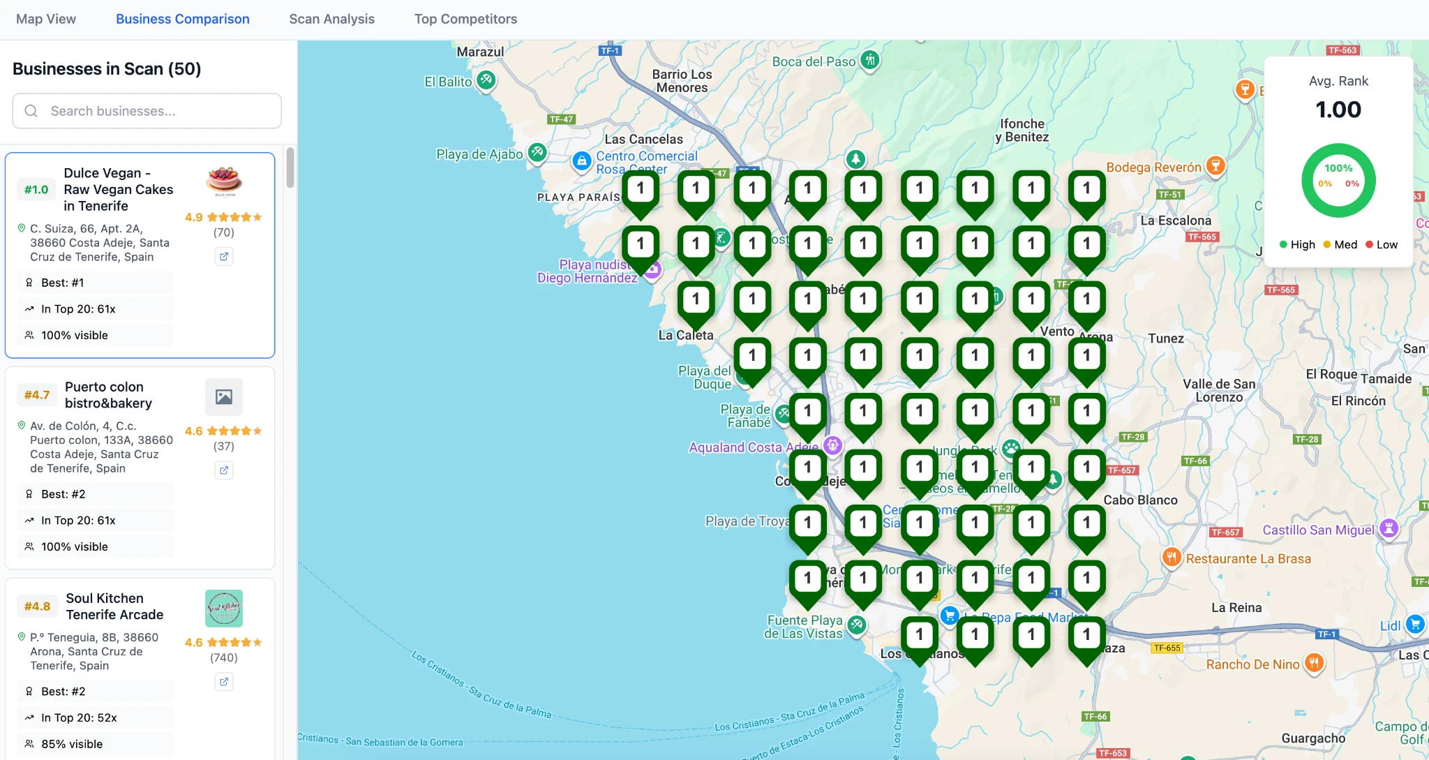 Local SEO performance scan showing business rankings on a map