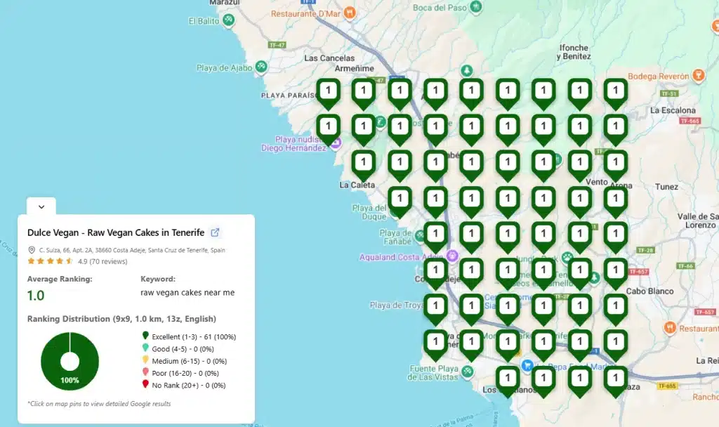 GTrack 9x9 Google Maps grid scan in Costa Adeje, Tenerife, with sea pins switched off and all 61 land pins at position 1