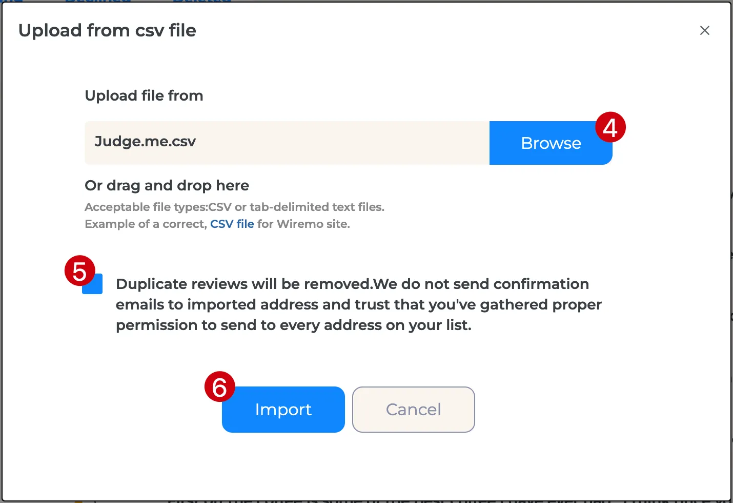 Wiremo CSV file upload window showing import button, file name field, and review data handling notice.