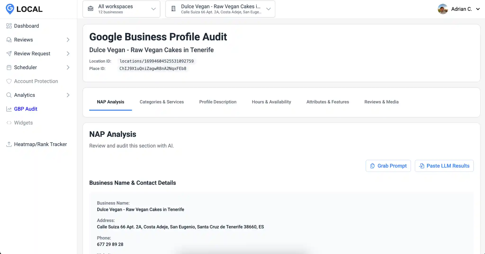 gbp-audit-google-business-profile-management-software Google Business Profile audit dashboard in Google Business Profile management software